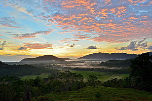 Sunrise over Daintree Tea plantation